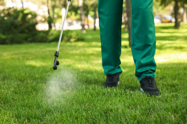 Best Best Pest Control Companies  in Pearson, GA