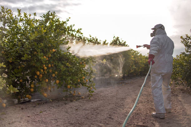 Best Best Pest Control Companies  in Pearson, GA