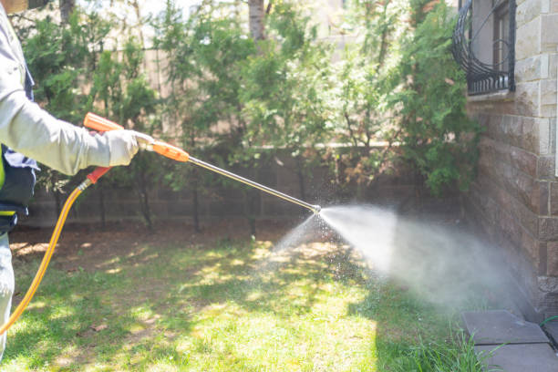 Best Flea Control Services  in Pearson, GA