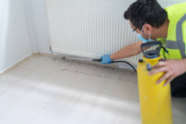 Best Pest Inspection Near Me  in Pearson, GA